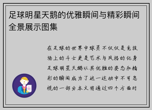 足球明星天鹅的优雅瞬间与精彩瞬间全景展示图集